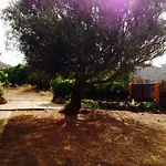 Ca'chispita Teror