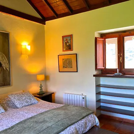 Casa rural Cachispita Teror