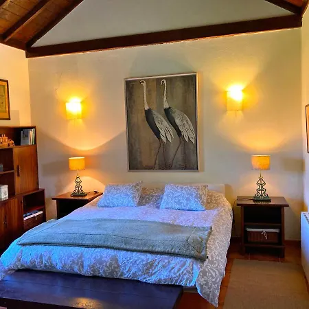 Casa rural Cachispita *