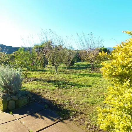Casa rural Cachispita Teror