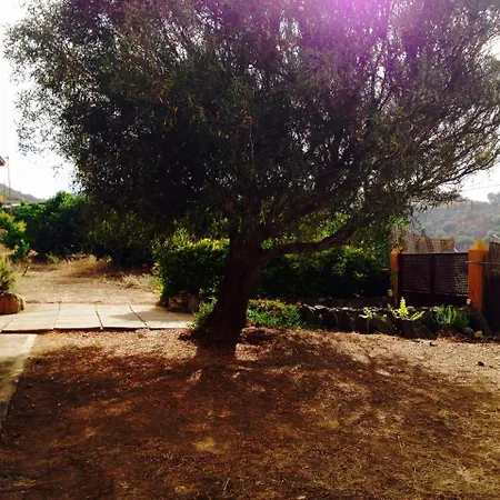 Ca'chispita טרור