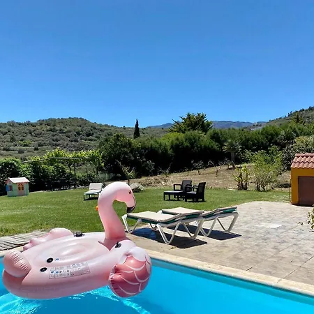 Cachispita