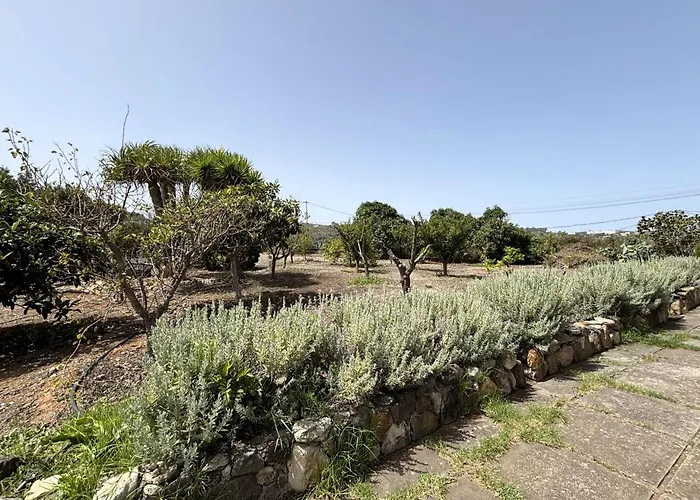 Venkovský dům Ca'chispita Teror