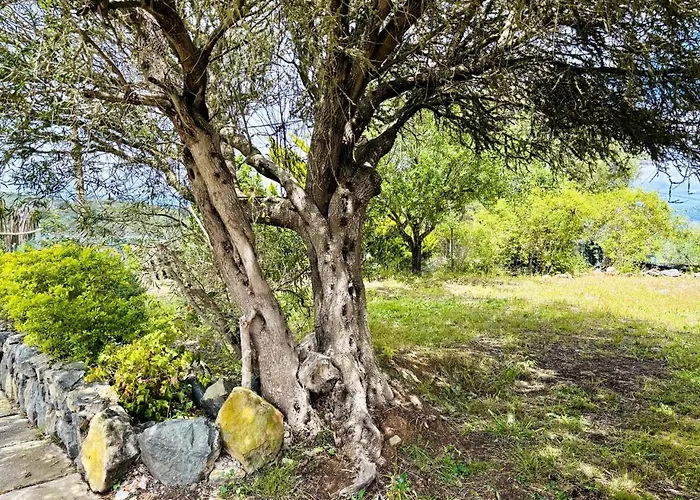 Hétvégi ház Ca'chispita *