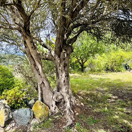 Casa di campagna Ca'chispita *